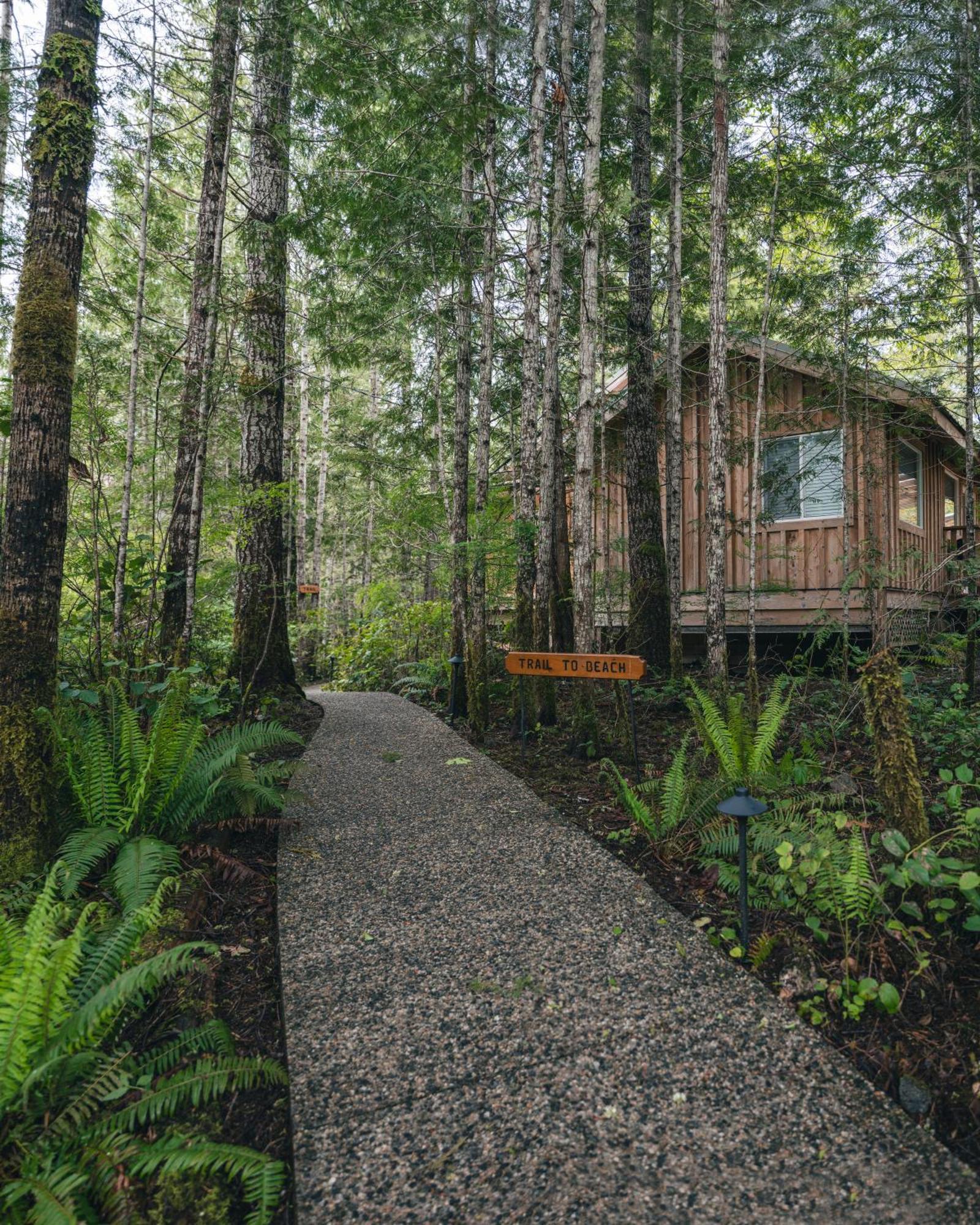 West Coast Wilderness Lodge Egmont Esterno foto